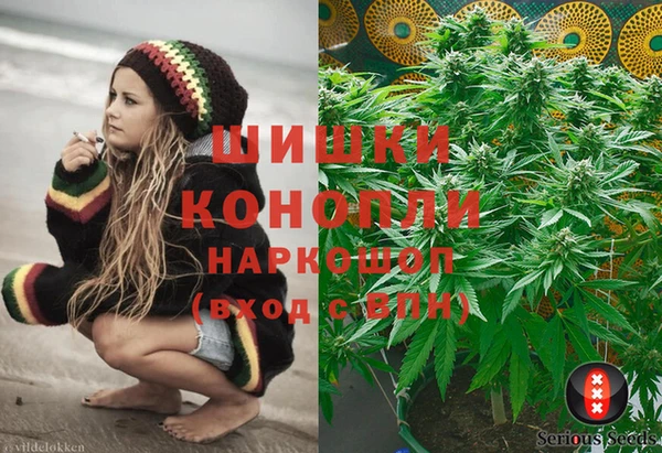 прущие крисы Рославль
