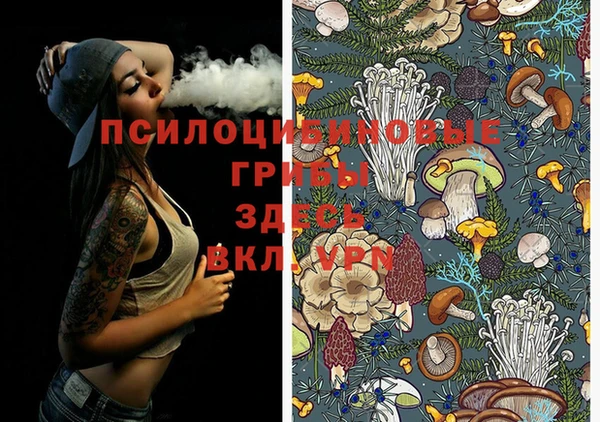 ПСИЛОЦИБИНОВЫЕ ГРИБЫ Россошь
