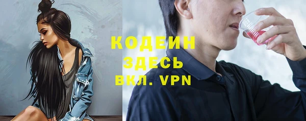 шишки Балахна