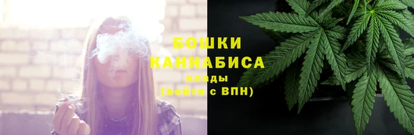 шишки Балахна