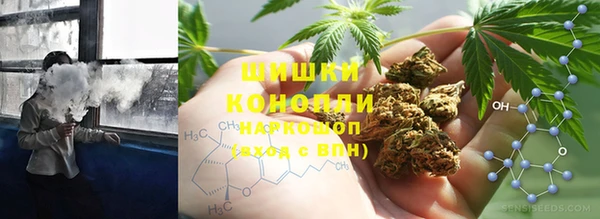 шишки Балахна