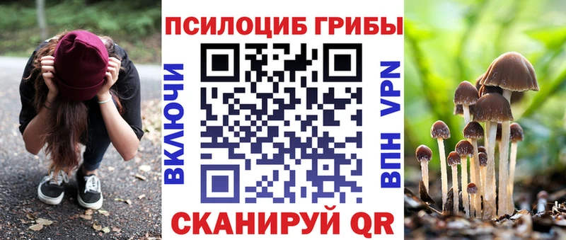 магазин    Задонск  Псилоцибиновые грибы Magic Shrooms 